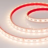 Лента светодиодная герметичная RTW-PS-B60-12mm 12V Warm3000 (14.4 W/m, IP67, 5060, 5m) (Arlight, 14.4 Вт/м, IP67)