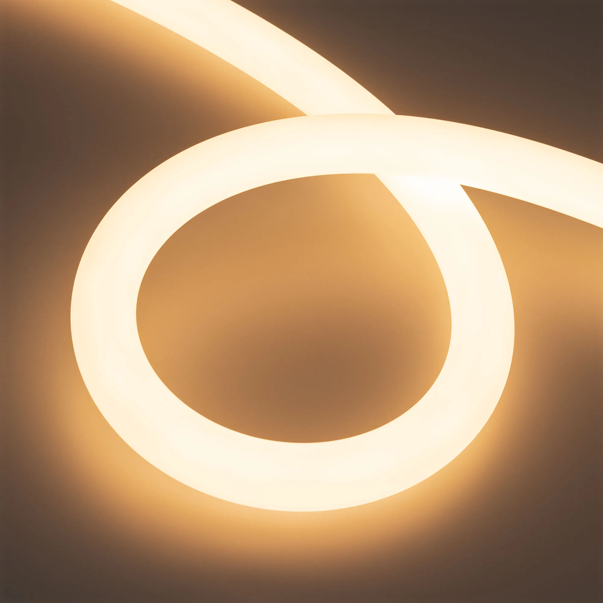 Лента герметичная MOONLIGHT-TOP-A336-D30mm 24V Warm3000 (14.4 W/m, IP65, 5m, wire x1) (Arlight, Вывод прямой, 3 года) - изображение товара